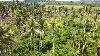 Developable lot for Sale in General Luna, Surigao Del Norte